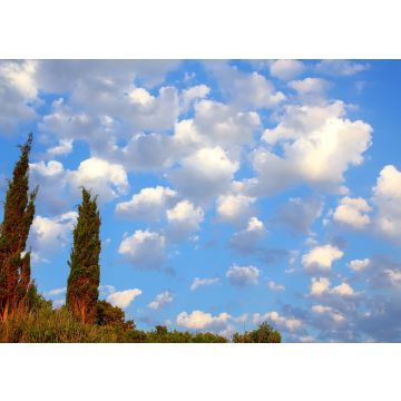 Lais Puzzle - Wolken über den Hügeln von Korcula - 100, 200, 500 & 1.000 Teile