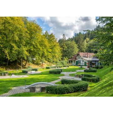 Lais Puzzle - Bad Schwalbach, Kurpark - 100, 200, 500 & 1.000 Teile