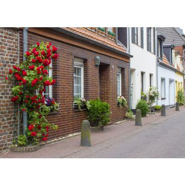 Lais Puzzle - Geldern - 100, 200, 500 & 1.000 Teile