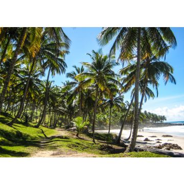 Lais Puzzle - Wunderschöner Itacare-Strand in Brasilien - 100, 200, 500 & 1.000 Teile