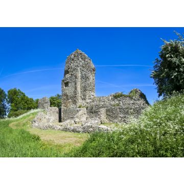 Lais Puzzle - Schlossruine Berkhamsted, Hertfordshire, England - 100, 200, 500 & 1.000 Teile