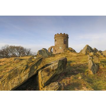Lais Puzzle - Der alte John im Bradgate Park, England - 100, 200, 500 & 1.000 Teile
