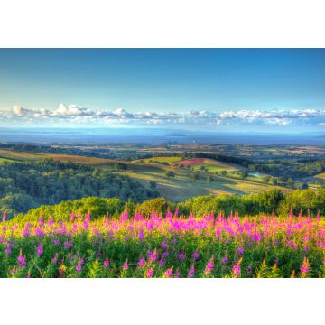 Lais Puzzle - Quantock Hills in Somerset, England - 100, 200, 500 & 1.000 Teile