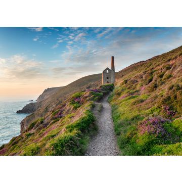 Lais Puzzle - Nebliger Sommerabend auf dem South West Coast Path, England - 100, 200, 500 & 1.000 Teile