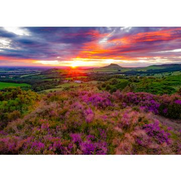 Lais Puzzle - Roseberry Topping, Nord-Yorkshire, England - 100, 200, 500 & 1.000 Teile