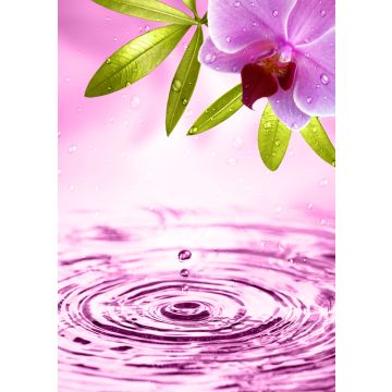 Lais Puzzle - Orchidee - 100, 200, 500 & 1.000 Teile
