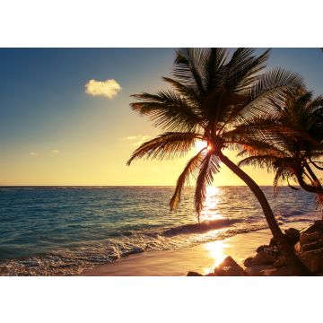 Lais Puzzle - Palme am Tropischen Strand - 100, 200, 500 & 1.000 Teile