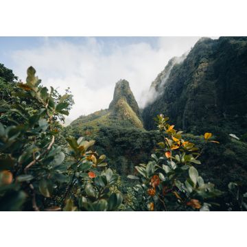 Lais Puzzle - Maui Hawaii - 100, 200, 500 & 1.000 Teile