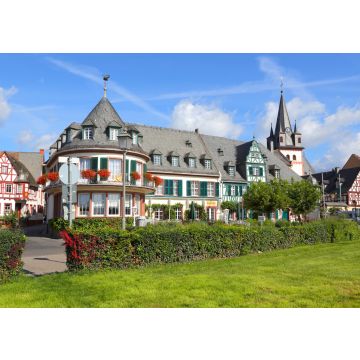 Lais Puzzle - Oestrich-Winkel (Rheingau) - Sommer 2014 - 100, 200, 500 & 1.000 Teile