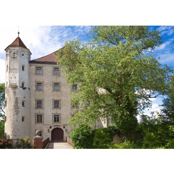 Lais Puzzle - Bad Grönenbach - 100, 200, 500 & 1.000 Teile