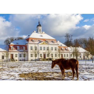 Lais Puzzle - Brandenburgisches Haupt- und Landgestüt Neustadt Dosse - 100, 200, 500 & 1.000 Teile