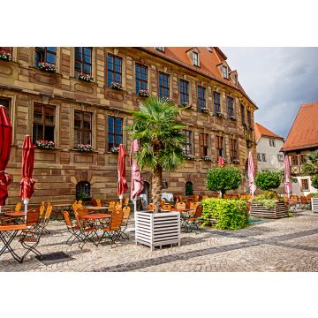 Lais Puzzle - Rathaus in Bad Kissingen- ( Das ehemalige Lochner-Heussleinsche Schloss ) - 100, 200, 500 & 1.000 Teile