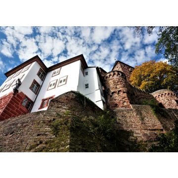 Lais Puzzle - Wormser Blick auf die Burg Zwingenberg in Baden Württemberg - 100, 200, 500 & 1.000 Teile