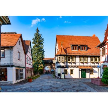 Lais Puzzle - Stadtbild von Michelstadt an der Bergstasse, Odenwald - 100, 200, 500 & 1.000 Teile