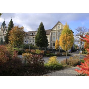 Lais Puzzle - Kloster, St. Bonifatius Kloster, Klosterpark, Hünfeld, Hessen, Deutschland - 100, 200, 500 & 1.000 Teile