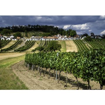 Lais Puzzle - Kellergasse Mistelbach - 100, 200, 500 & 1.000 Teile