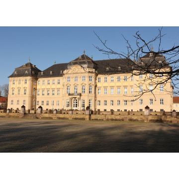 Lais Puzzle - Blick auf Schloss Werneck in Bayern - 1.000 Teile