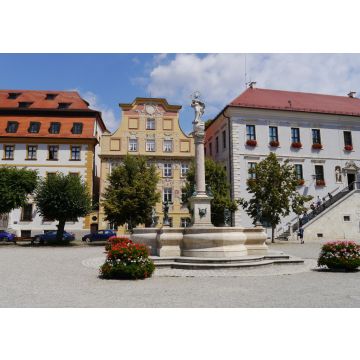 Lais Puzzle - Karlsplatz mit Marienbrunnen in Neuburg an der Donau - 100, 200, 500 & 1.000 Teile