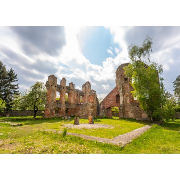 Lais Puzzle - Burgruine Haibach in Niederbayern | Ruine Haibach | Bayerischer Wald - 100, 200, 500 & 1.000 Teile