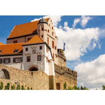 Lais Puzzle - Niemcy, zamek w Alzenau. Zabytki Bawarii. Budowla z kamienia. Lato w miescie. Historyczne miejsca w Niemczech. - 100, 200, 500 & 1.000 Teile