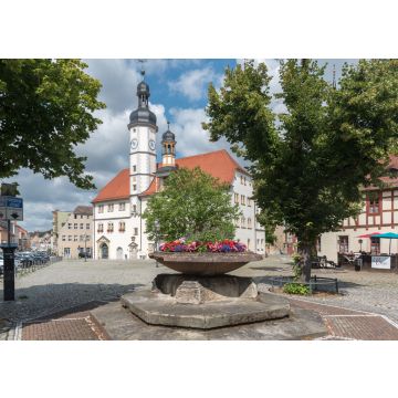 Lais Puzzle - Am Markt Rathaus in Eisenberg Thüringen - 100, 200, 500 & 1.000 Teile
