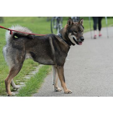 Lais Puzzle - Shikoku - 100, 200, 500 & 1.000 Teile