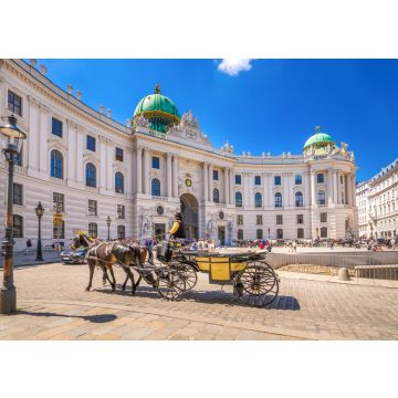 Lais Puzzle - Fiaker vor der Alten Hofburg, Wien, Österreich - 100, 200, 500 & 1.000 Teile
