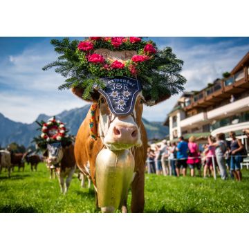 Lais Puzzle - Almabtrieb in Pertisau am Achensee, Tirol / Österreich - 100, 200, 500 & 1.000 Teile