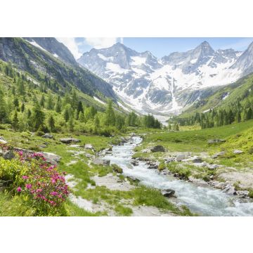 Lais Puzzle - Panorama einer Landschaft mit Wildbach und Gletscher im sommerlichen Zillertal in Tirol Österreich - 100, 200, 500 & 1.000 Teile