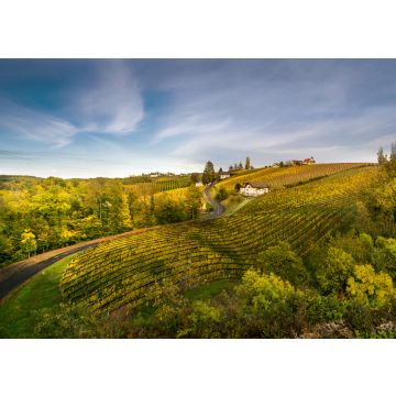Lais Puzzle - Bad Radkersburg, Steiermark, Österreich - 100, 200, 500 & 1.000 Teile