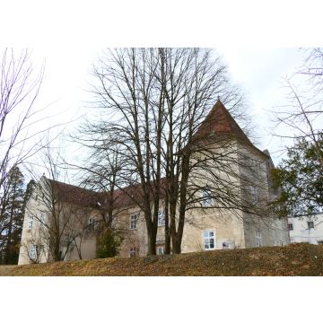 Lais Puzzle - Schloss in Oberpullendorf, Burgenland, Österreich - 100, 200, 500 & 1.000 Teile
