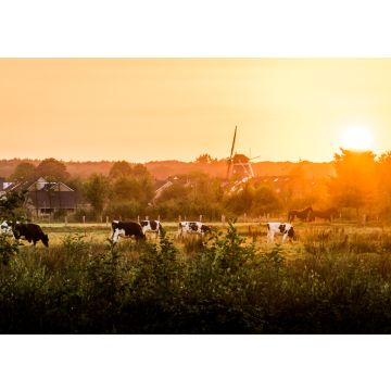 Lais Puzzle - Hellendoorn im Sonnenuntergang - 100, 200, 500 & 1.000 Teile