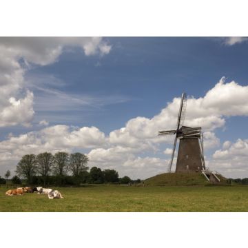 Lais Puzzle - Windmühle bei Bronkhorst - 100, 200, 500 & 1.000 Teile