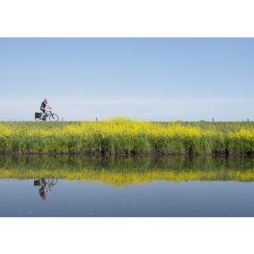 Lais Puzzle - Mann fährt Fahrrad entlang Wasser von Valleikanaal in der Nähe von Leusden in den Niederlanden und passiert gelb blühende Blumen von Raps - 100, 200, 500 & 1.000 Teile