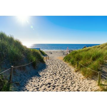 Lais Puzzle - Zugang zum Strand in den Dünen von Texel, Niederlande - 100, 200, 500 & 1.000 Teile