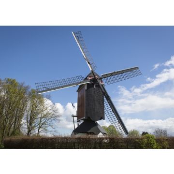 Lais Puzzle - Historische Windmühle in Someren, die Niederlande - 100, 200, 500 & 1.000 Teile