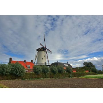 Lais Puzzle - Windmühle Molen de Lelie in Koudekerke, Niederlande - 100, 200, 500 & 1.000 Teile