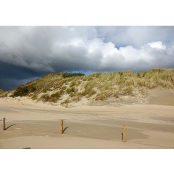 Lais Puzzle - Dünen bei Burgh-Haamstede, Niederlande - 100, 200, 500 & 1.000 Teile