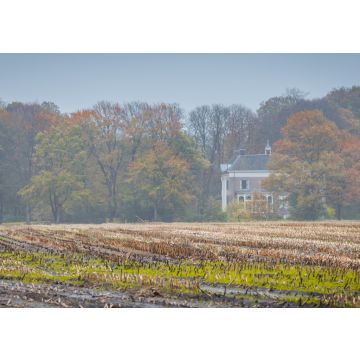 Lais Puzzle - Herrenhaus von Estate Dickninge zwischen Bäumen in Herbstfarben in De Wolden, Drenthe, Niederlande - 100, 200, 500 & 1.000 Teile