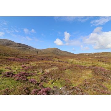 Lais Puzzle - Bays of Harris, Äußere Hebriden - 100, 200, 500 & 1.000 Teile