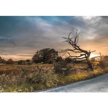 Lais Puzzle - Sommerabend in der Nähe von Kilsyth, North Lanarkshire - 100, 200, 500 & 1.000 Teile