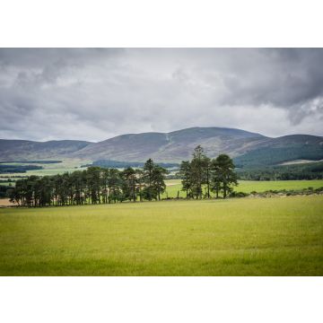 Lais Puzzle - Queens View, Tarland, Aberdeenshire, Schottland - 100, 200, 500 & 1.000 Teile
