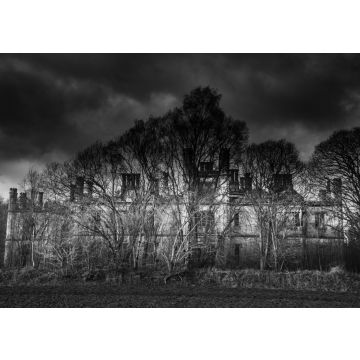 Lais Puzzle - Schwarz-Weiß-Bild der Burgruine Dunmore in Airth, Falkirk, Schottland, Großbritannien - 100, 200, 500 & 1.000 Teile