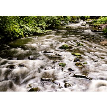 Lais Puzzle - Auldhouse Burn im Rouken Glen Park, Giffnock, East Renfrewshire, Glasgow Südseite, Schottland - 100, 200, 500 & 1.000 Teile