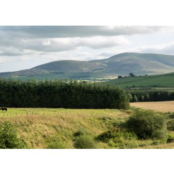 Lais Puzzle - Tinto hill South Lanarkshire - 100, 200, 500 & 1.000 Teile