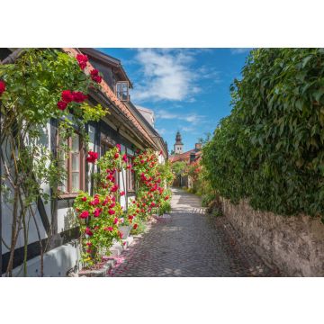 Lais Puzzle - Mittelalterliche Gasse in der historischen Hansestadt Visby auf der schwedischen Ostseeinsel Gotland - 100, 200, 500 & 1.000 Teile