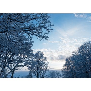 Lais Puzzle - Winter in Skövde, Sweden - 100, 200, 500 & 1.000 Teile