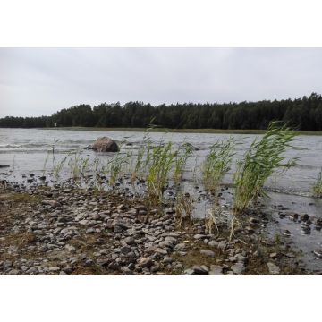 Lais Puzzle - Am Ufer des Händen See bei Kristinehamn in Schweden - 100, 200, 500 & 1.000 Teile