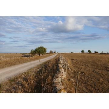 Lais Puzzle - Öland Schweden - 100, 200, 500 & 1.000 Teile