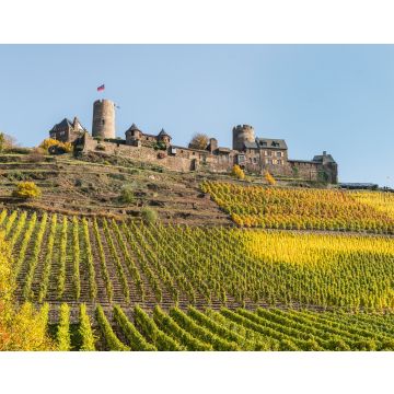 Lais Puzzle - Mosel - Burg Thurant mit Weinberg - 40, 100, 200, 500 & 1.000 Teile